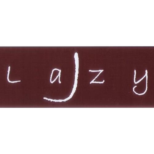 Lazy J J20 With Reverb Harma 12AY7 STR Philips 6L6WGB Full Upgrade Kit